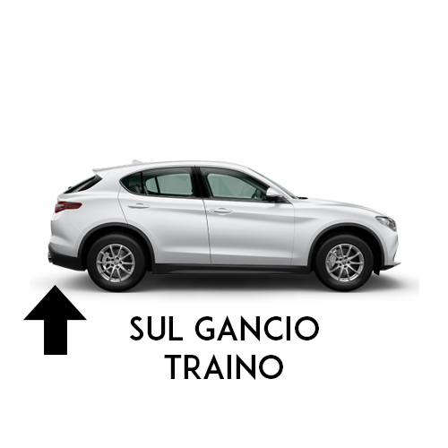 Portabici per gancio traino